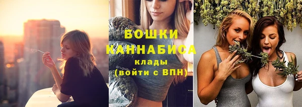 PSILOCYBIN Братск