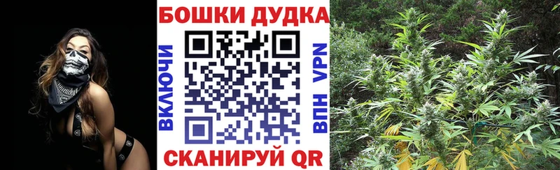 Бошки Шишки White Widow  Приморско-Ахтарск 